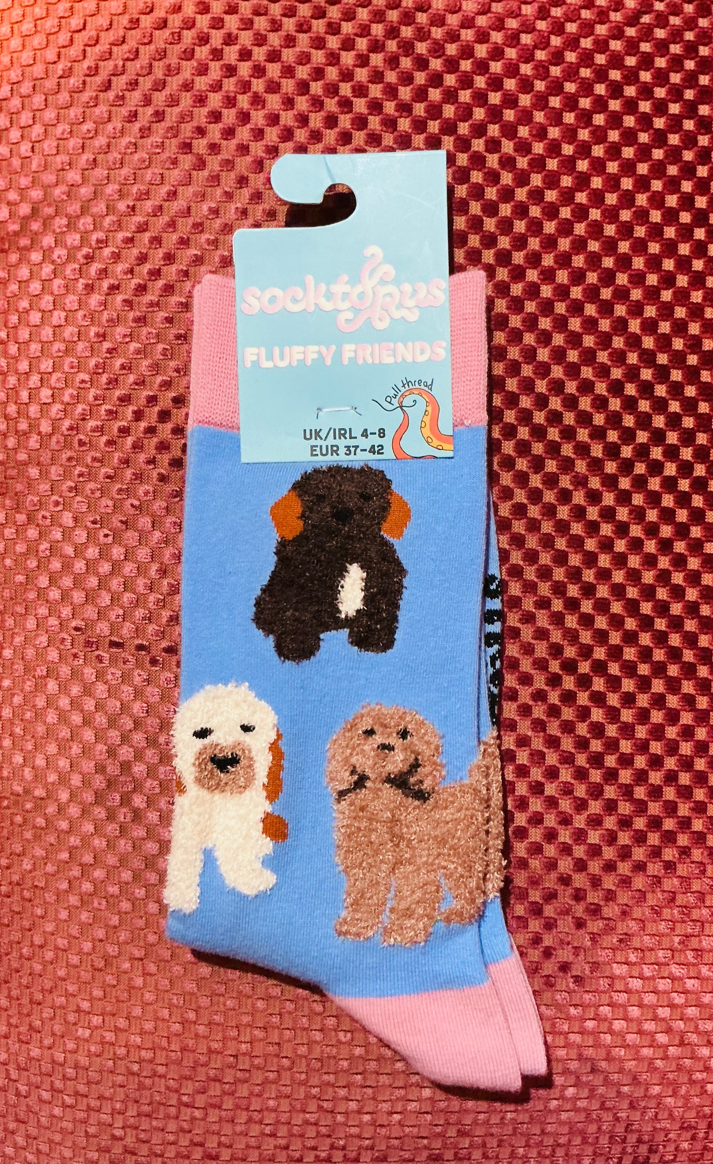 Socktopus Fluffy Cockapoo Socks