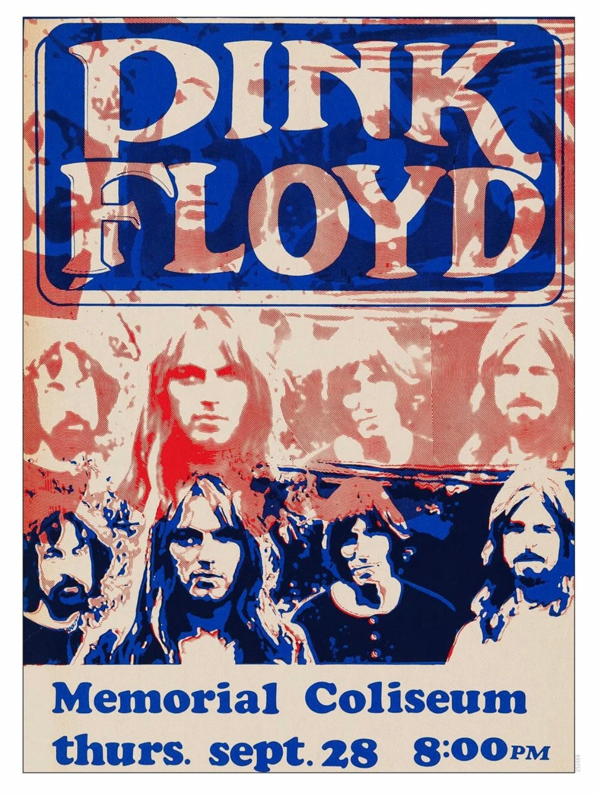 Pink Floyd Concert Wall Print