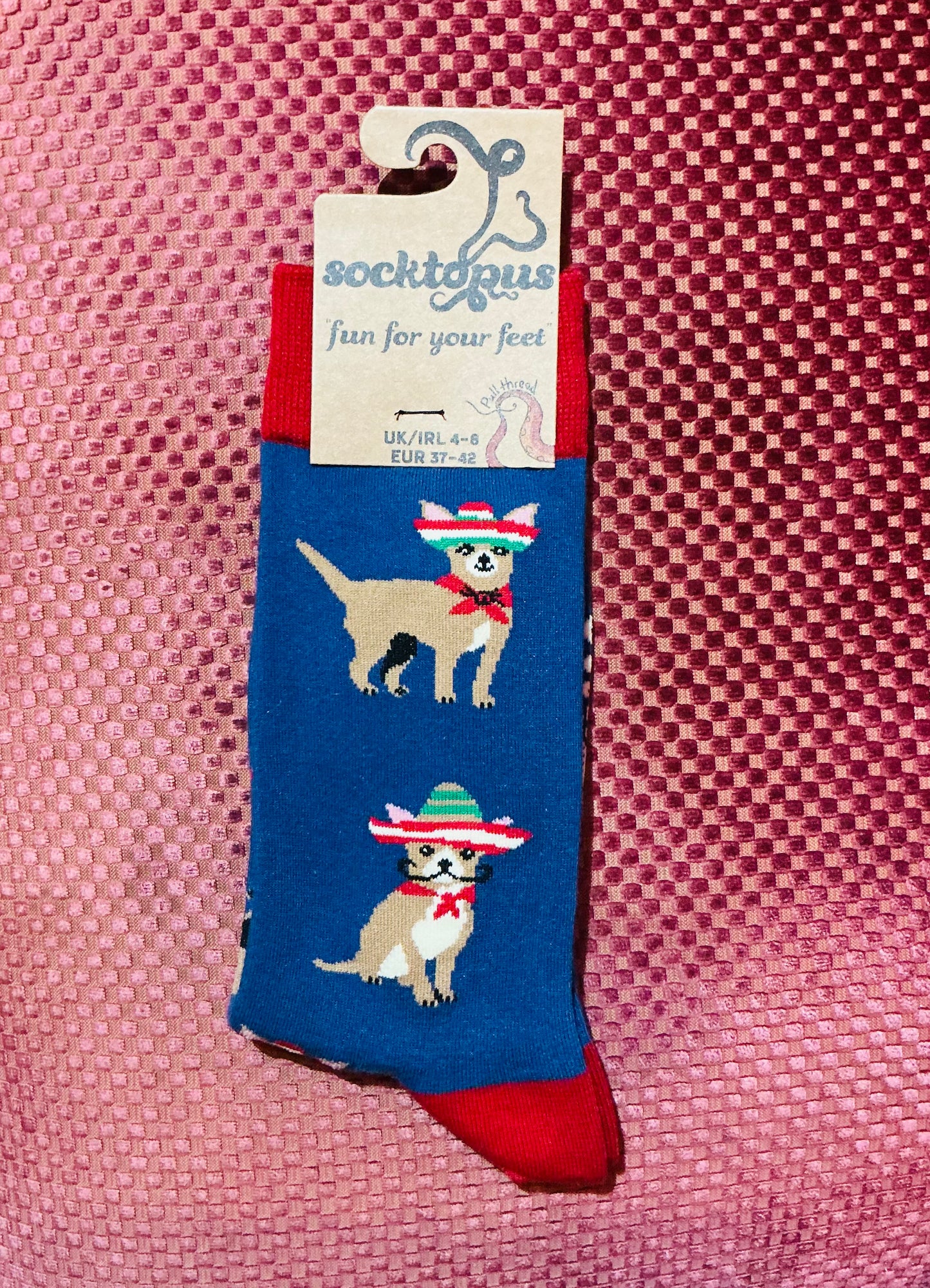 Socktopus Chihuahua Socks