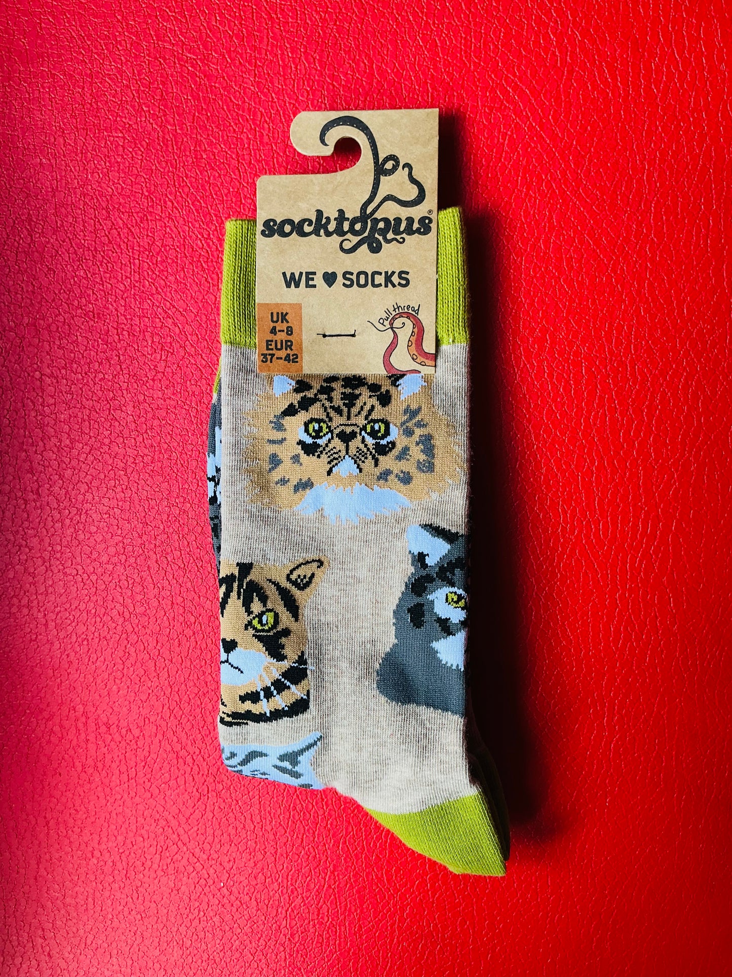 Socktopus Grumpy Cats Socks