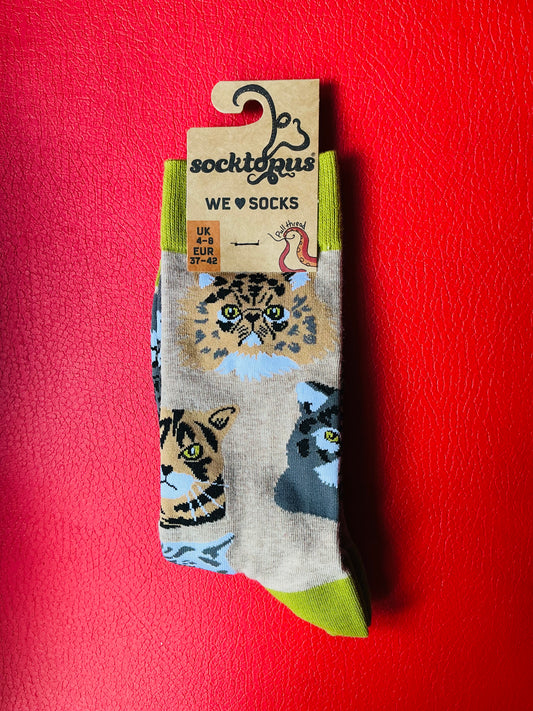Socktopus Grumpy Cats Socks