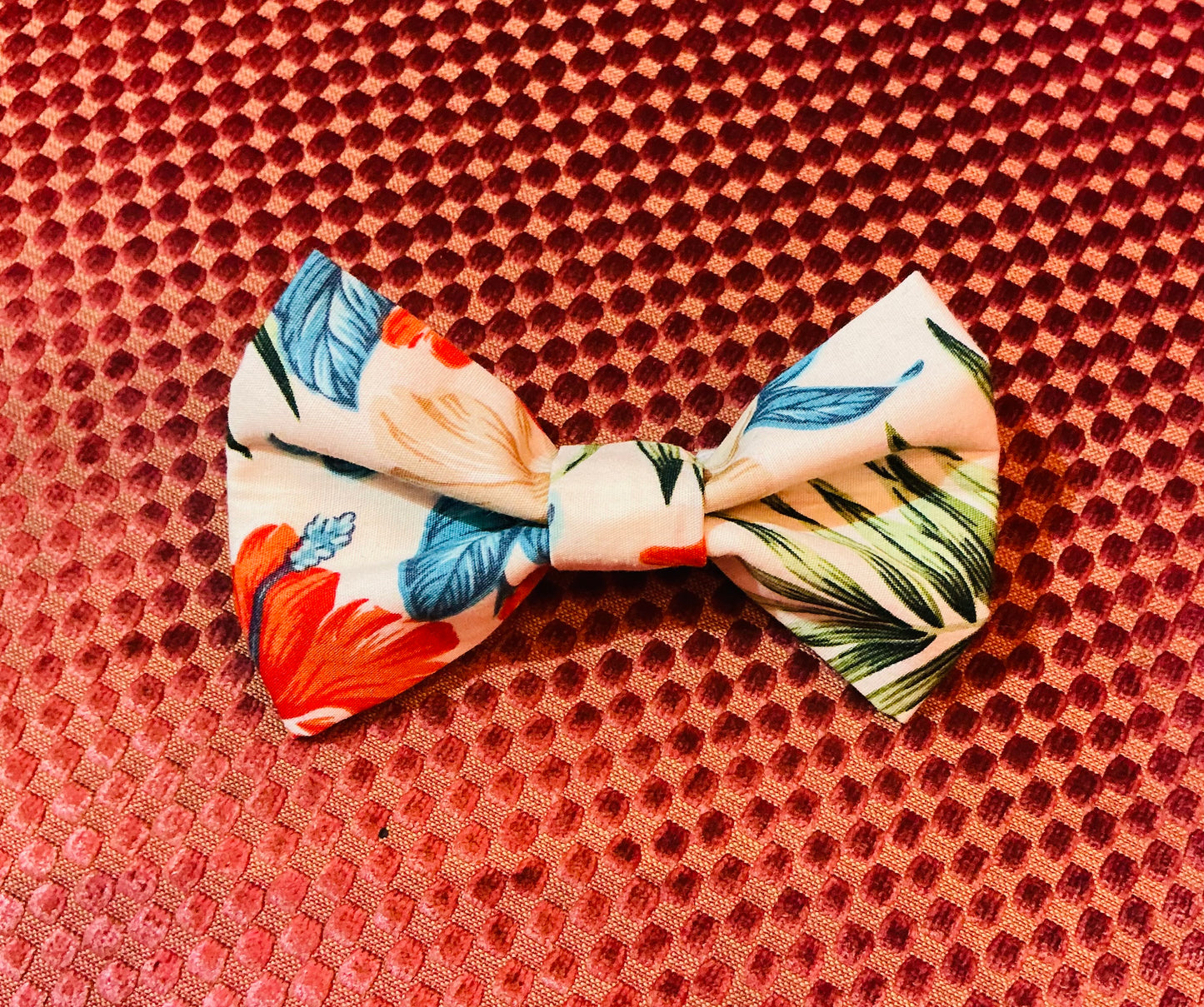 Dog Accessories- Bow Ties