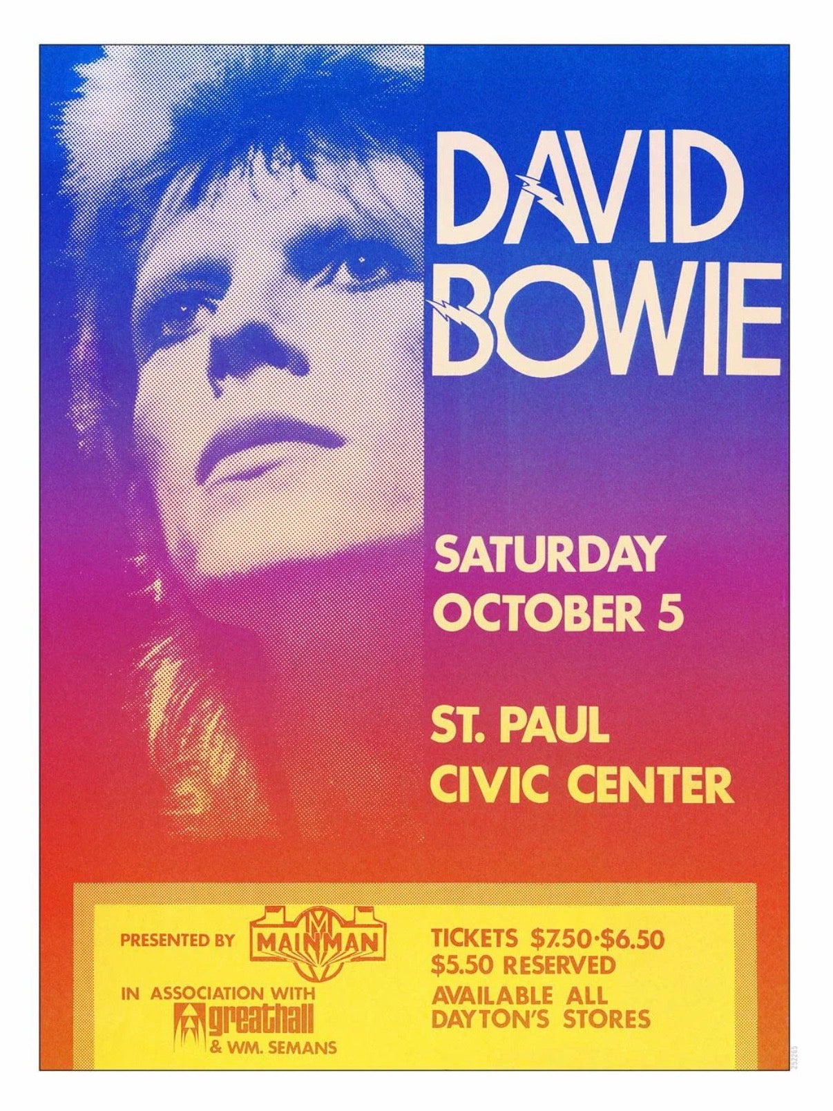 David Bowie Concert Wall Print