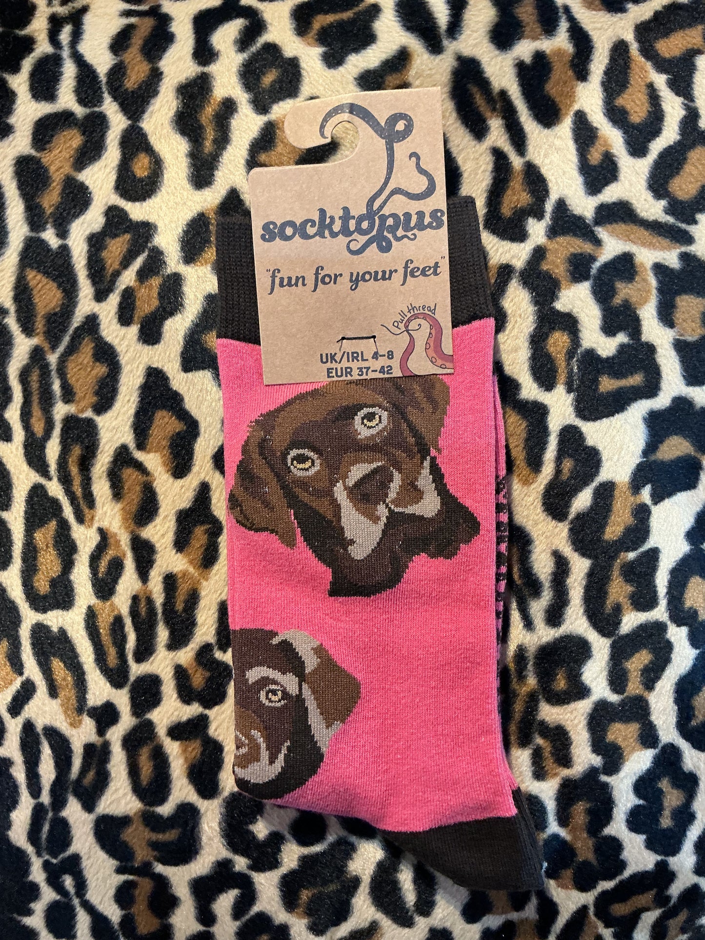 Socktopus Chocolate Labrador Socks