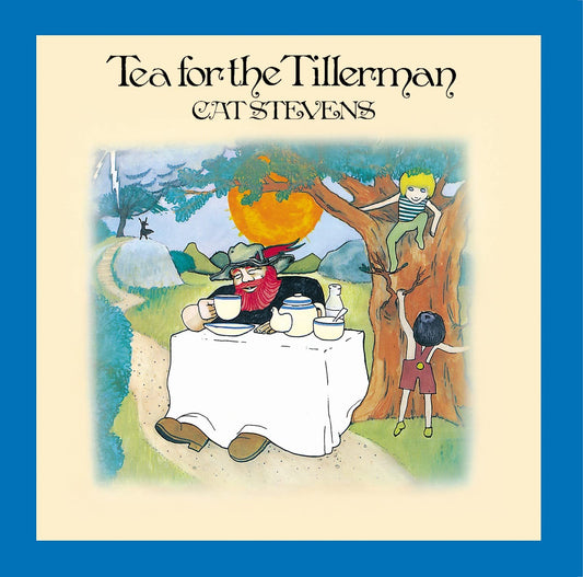 Cat Stevens Tea for the Tillerman vinyl record 