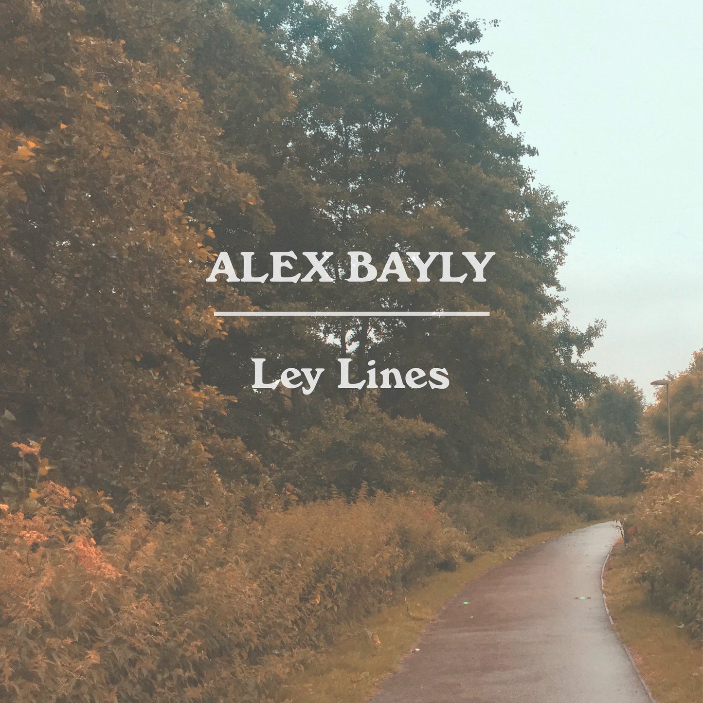 Alex Bayly Ley Lines Vinyl album 